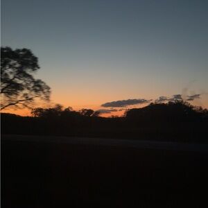 Meet your Posher, Ella